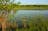 Bubba Wetlands Walk
