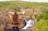 Uluru to Darwin Ultimate Package