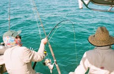 Reeling in a catch from Dundee Beachhg