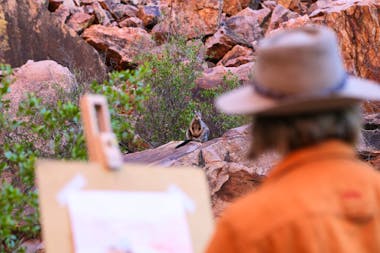Simpsons Gap Sunset Watercolour Painting Class