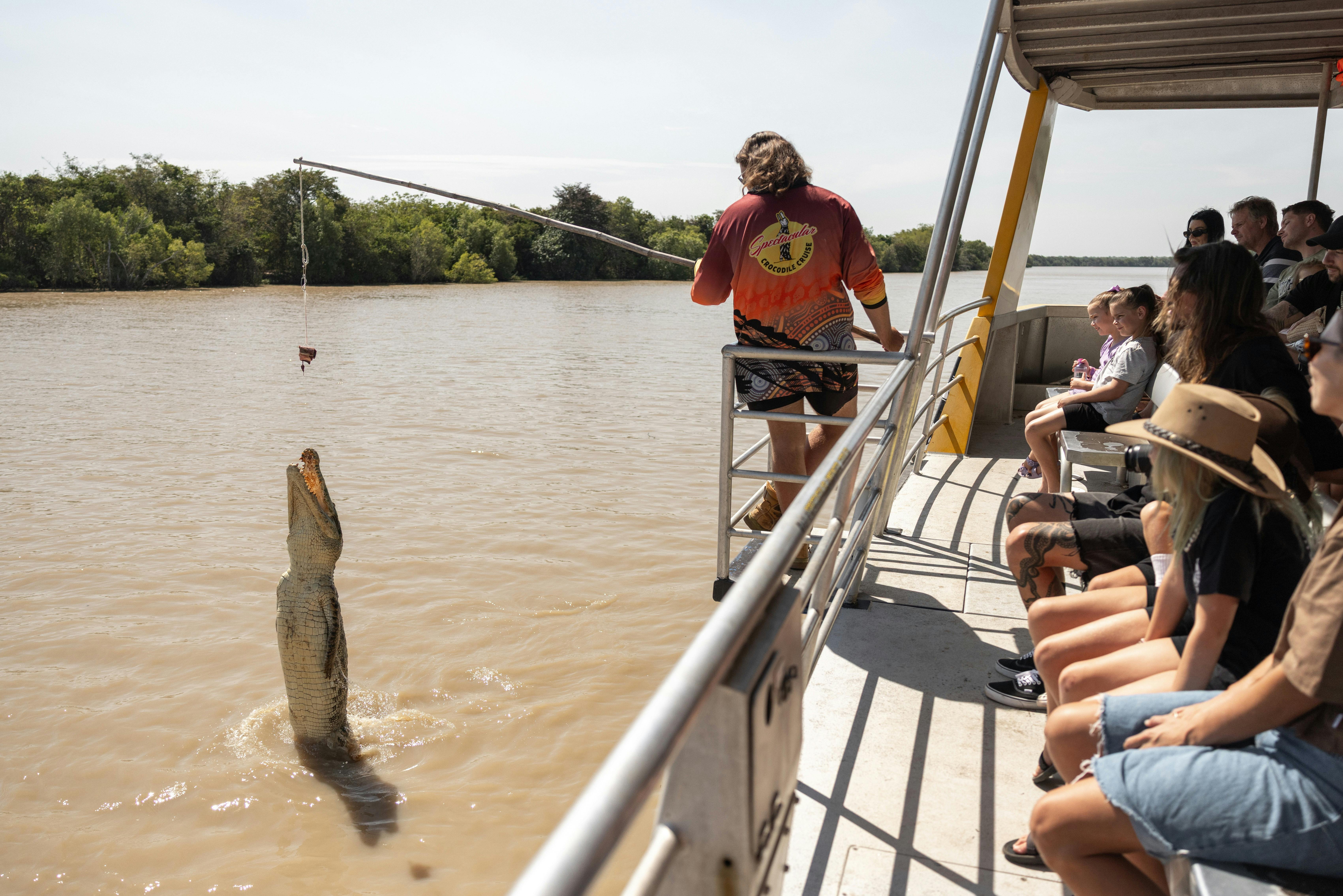 Spectacular Jumping Crocodile Cruise