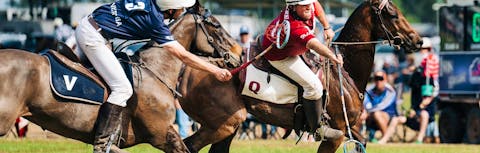 Polocrosse