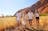 4 Day Red Centre Uluru Kings Canyon & West MacDonnell 4WD Adventure - from Yulara (Camping)