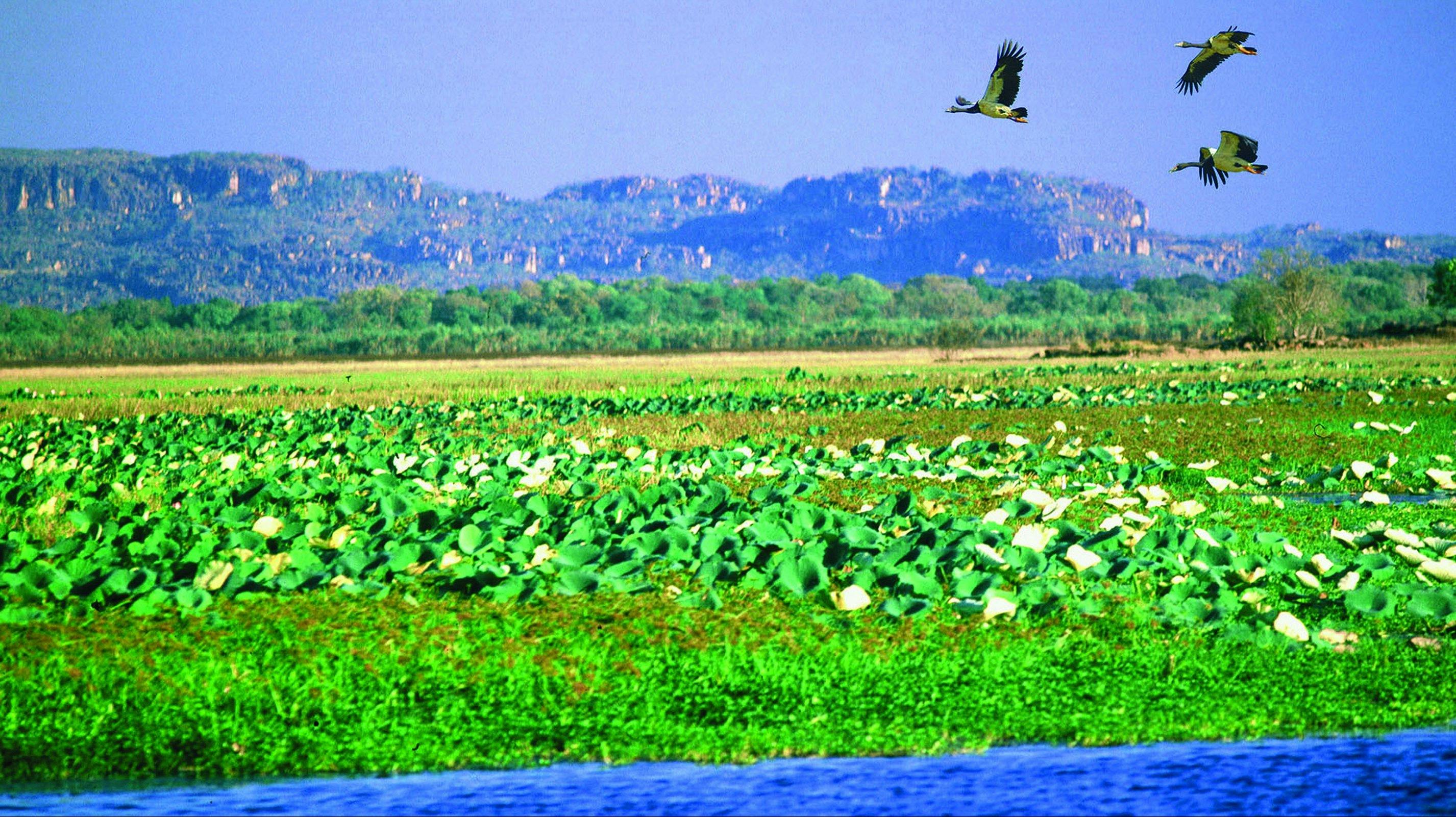 Hawk Dreaming Wilderness Lodge
