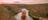 Girl standing on the edge of a weaving escarpment in Katherine Gorge at sunset