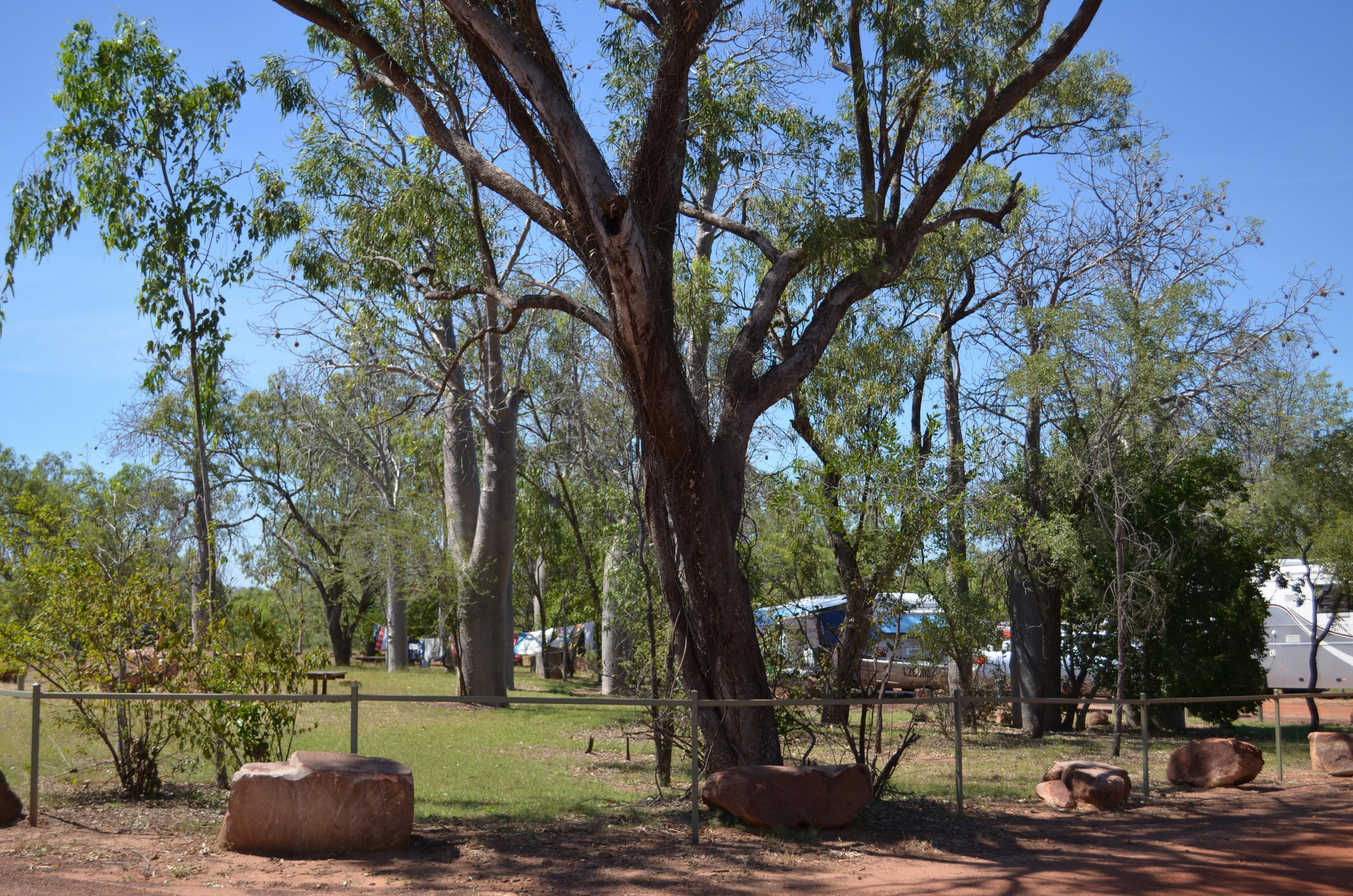 Judbarra / Gregory National Park Timber Creek Campfire Talk