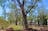 Judbarra / Gregory National Park Timber Creek Campfire Talk