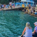 late afternoon fish feeding