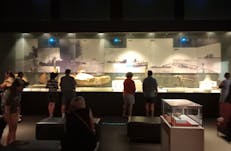 Darwin City tour, NT Driver Guide, Private, Curated Tour,, family Tour, Darwin Tour, Woman Tour