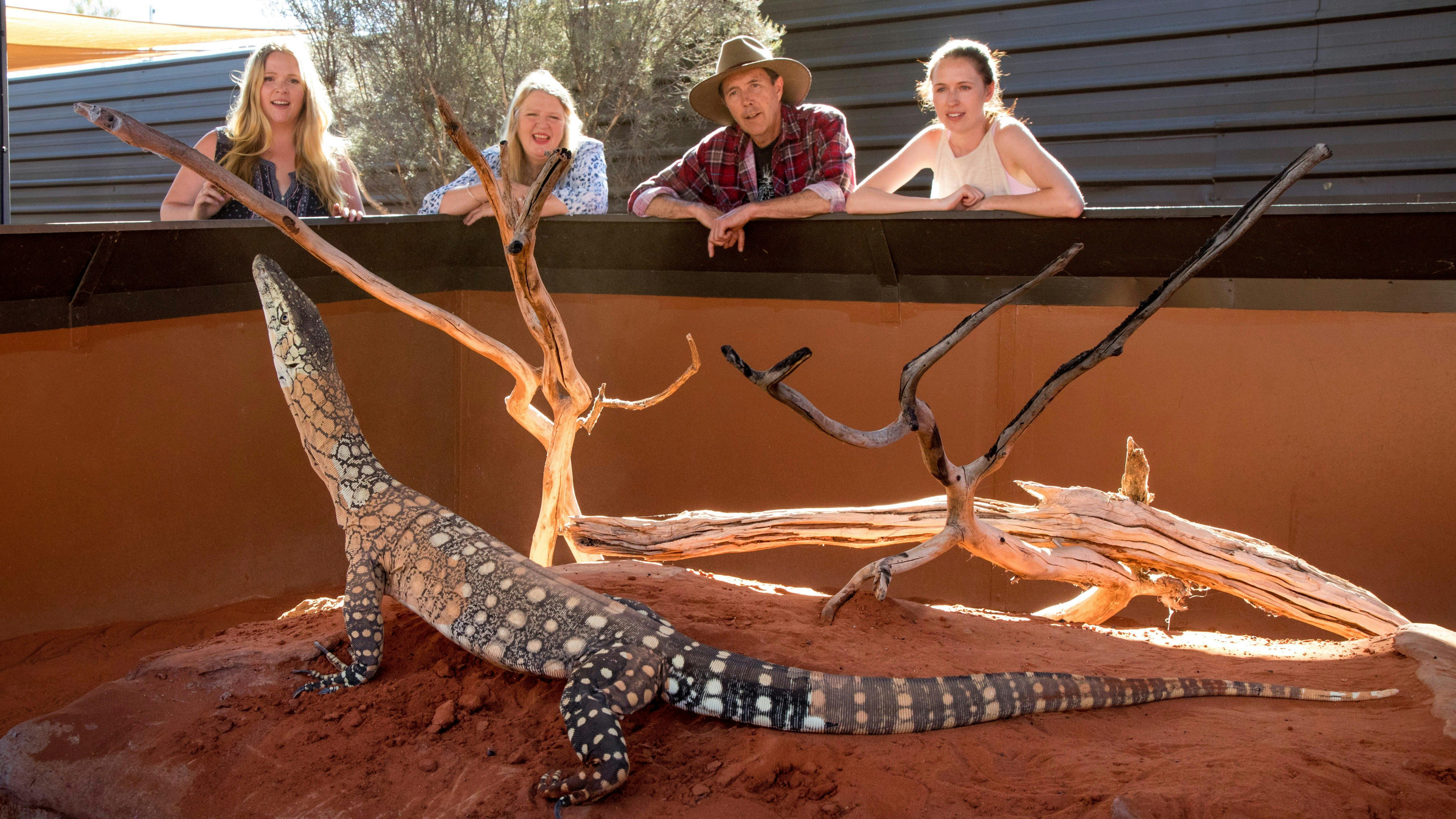 Alice Springs Reptile Centre has the largest collection of reptilian life in Central Australia