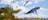 Giant flying kites with animal shapes