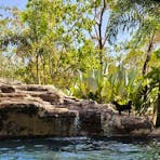 NT - Darwin Base Camp
