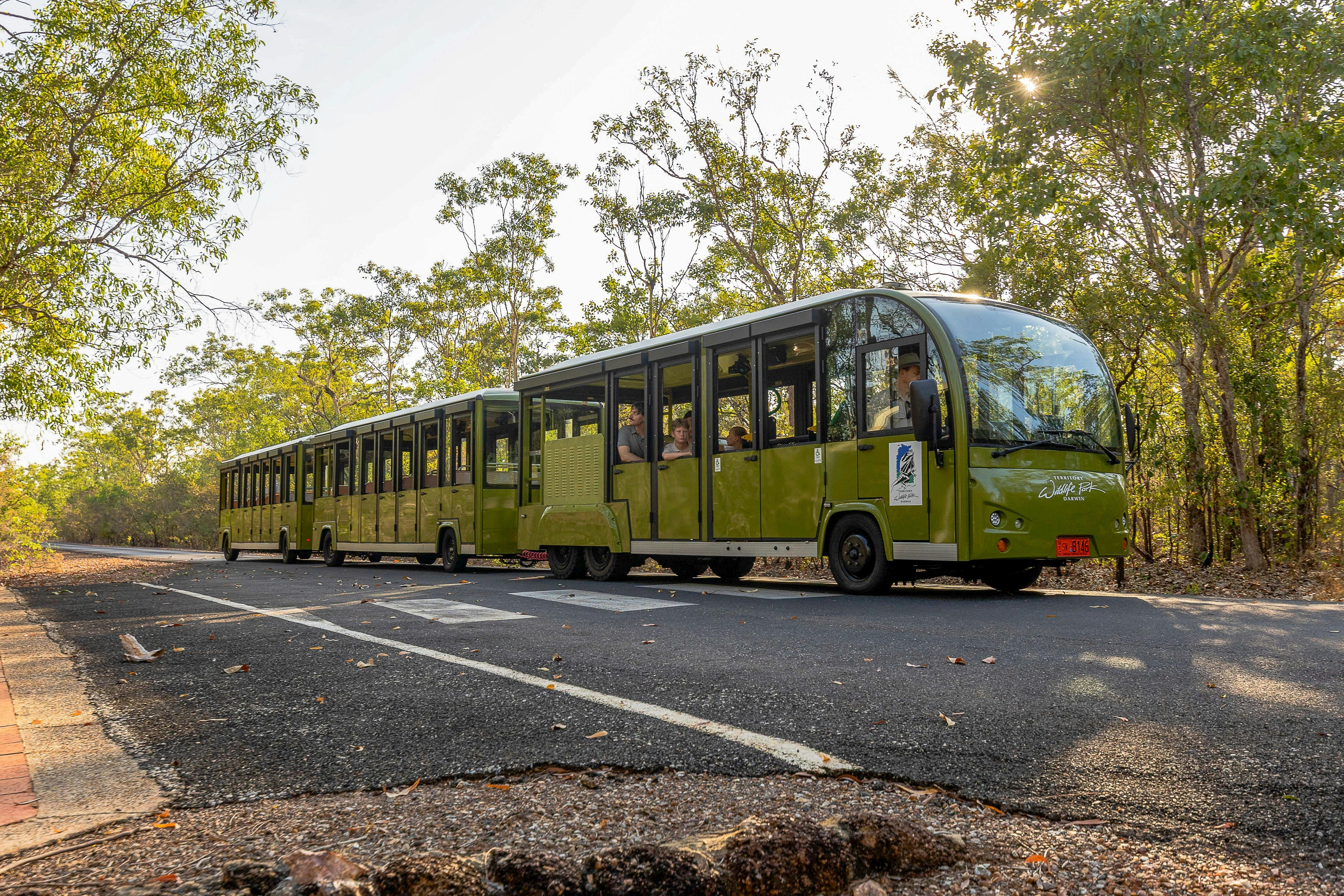 Great Train Race and Fun Run