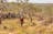Jatbula Trail