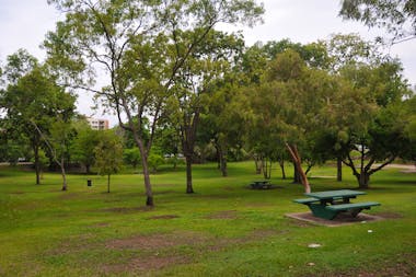Frog Hollow
