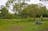 Frog Hollow