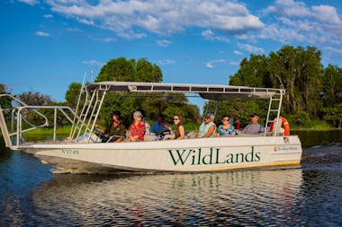 1.5 Hour Safari Cruise