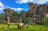 Kakadu Day Trip