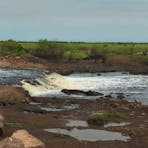 River flow at Shady Camp
