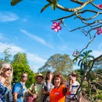 Group viewing a desert rose in bloom