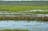 Fogg Dam Conservation Reserve Ranger Talk