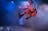 Saplings | Australian Theatre for Young People - Darwin Festival