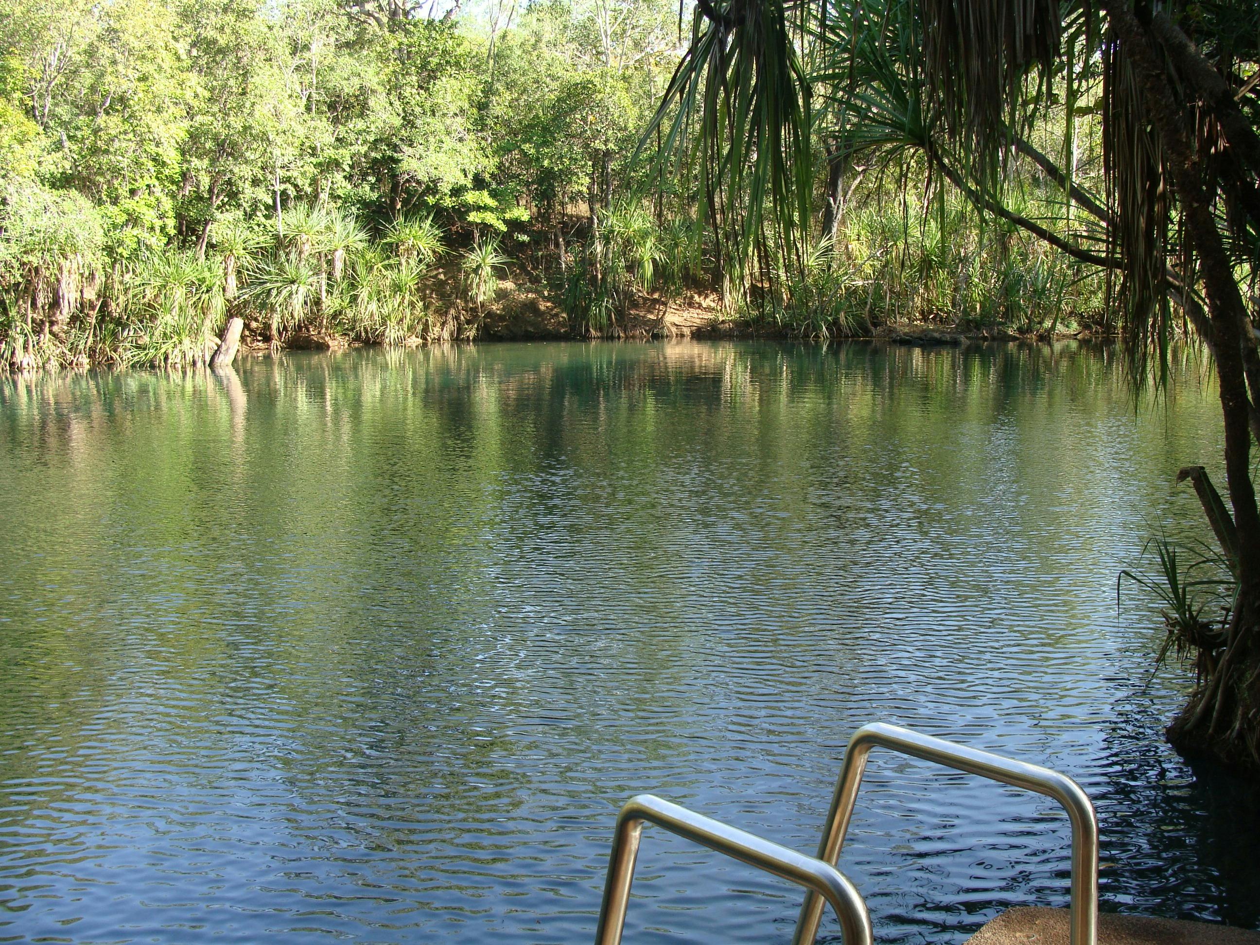 Berry Springs Nature Park Ranger Talk