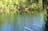 Berry Springs Nature Park Ranger Talk