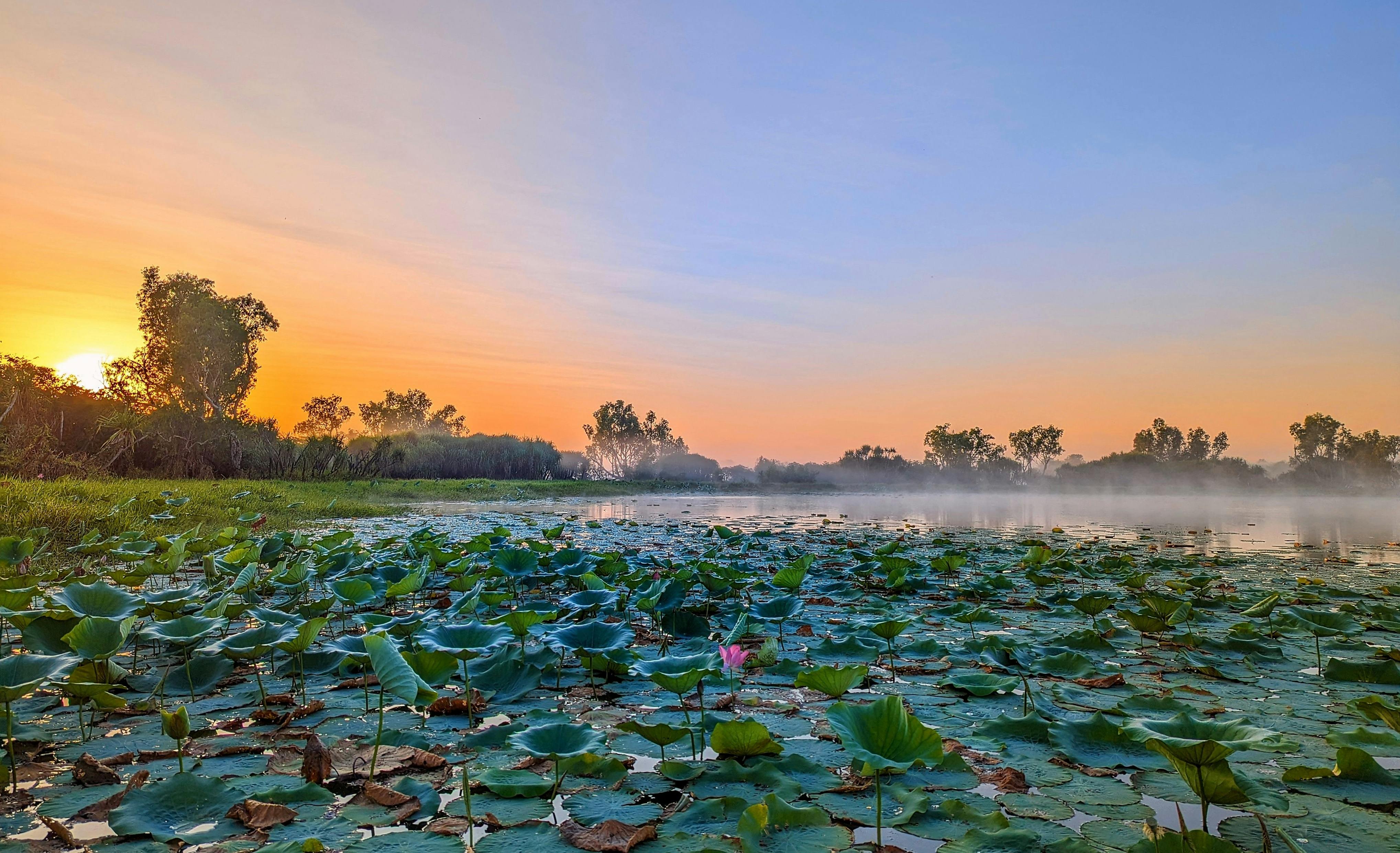 Morning Cruise at the Rockhole