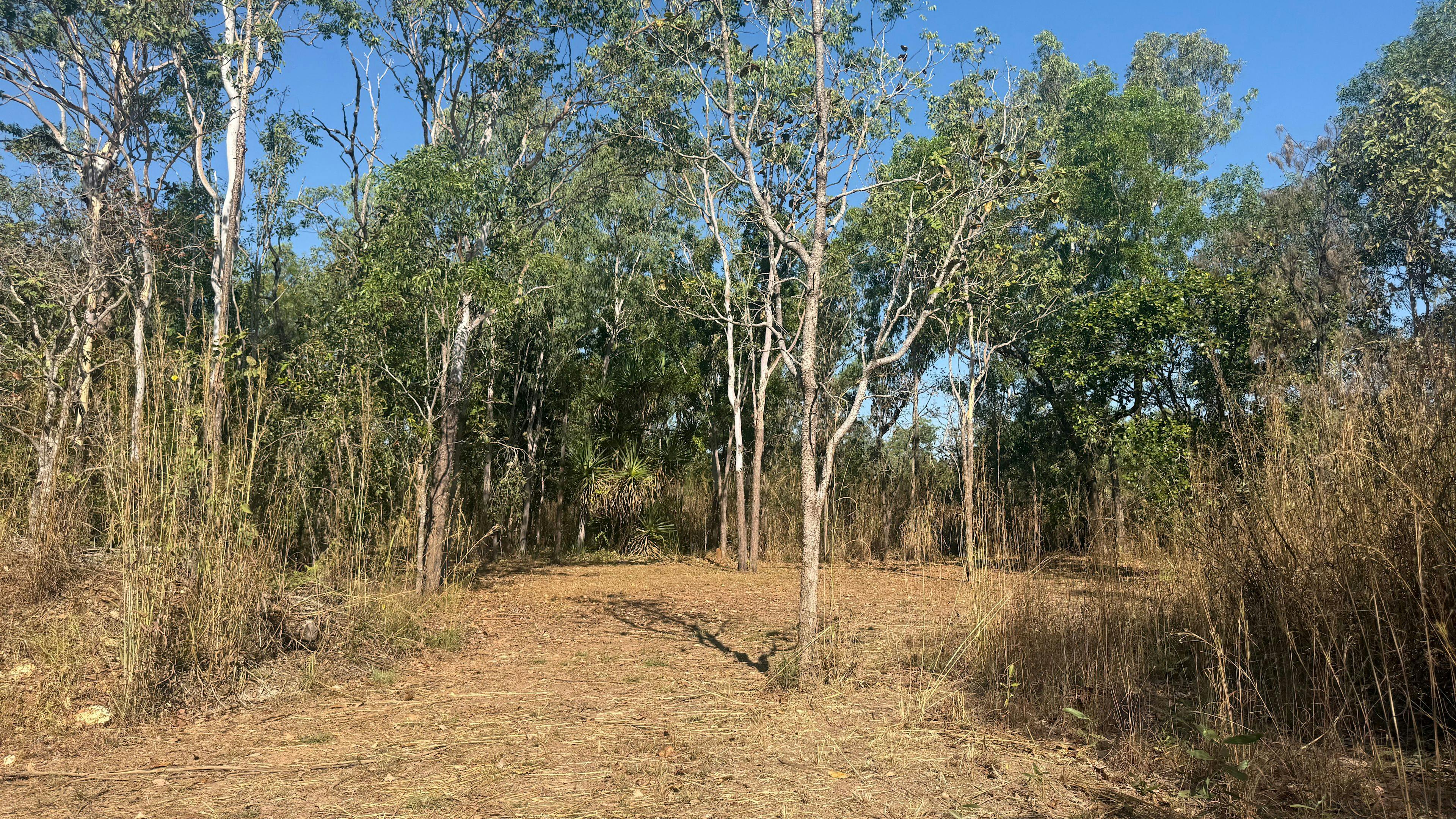 Bonnie Doo bush camp