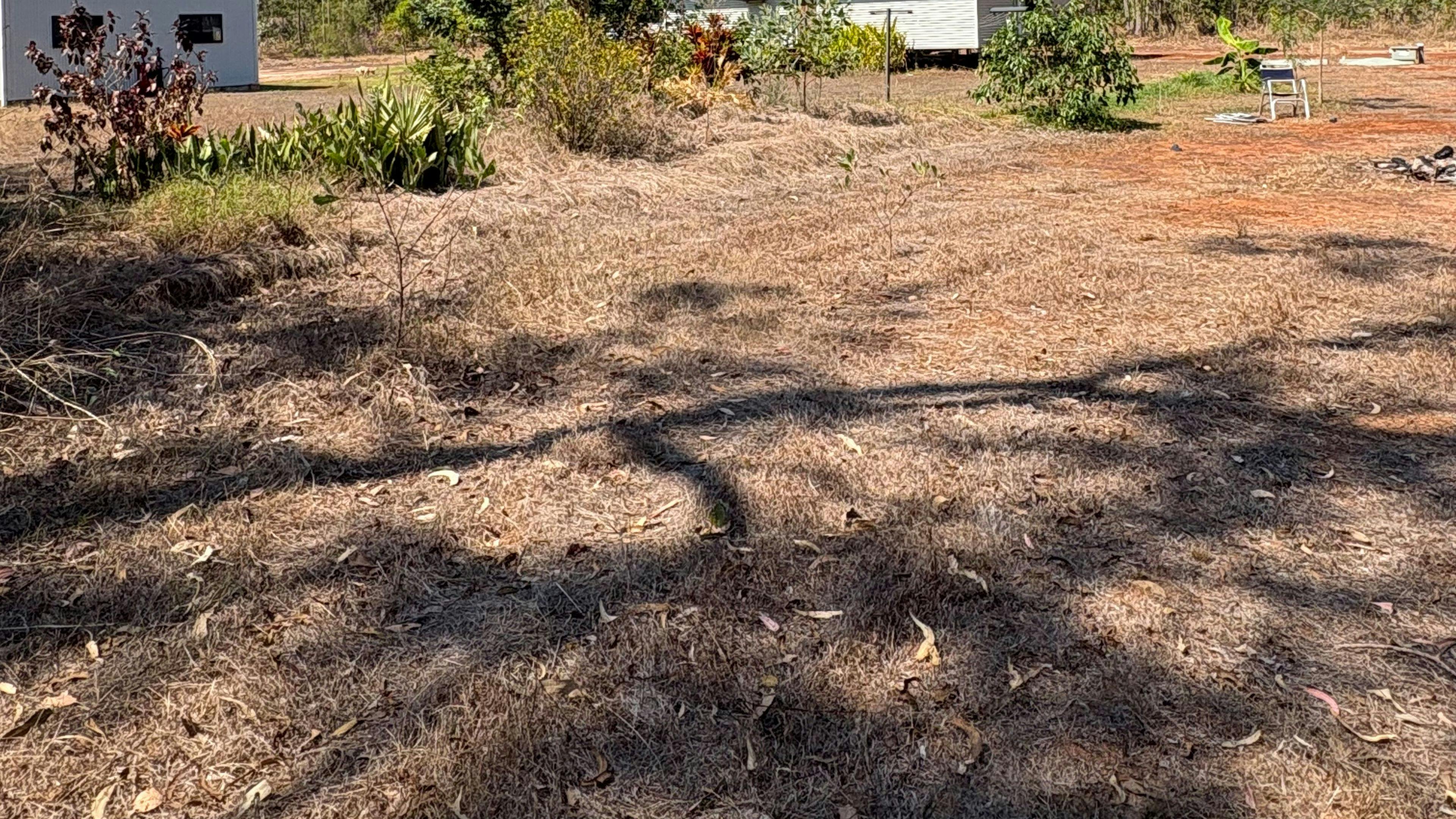 Girraween Bush Retreat