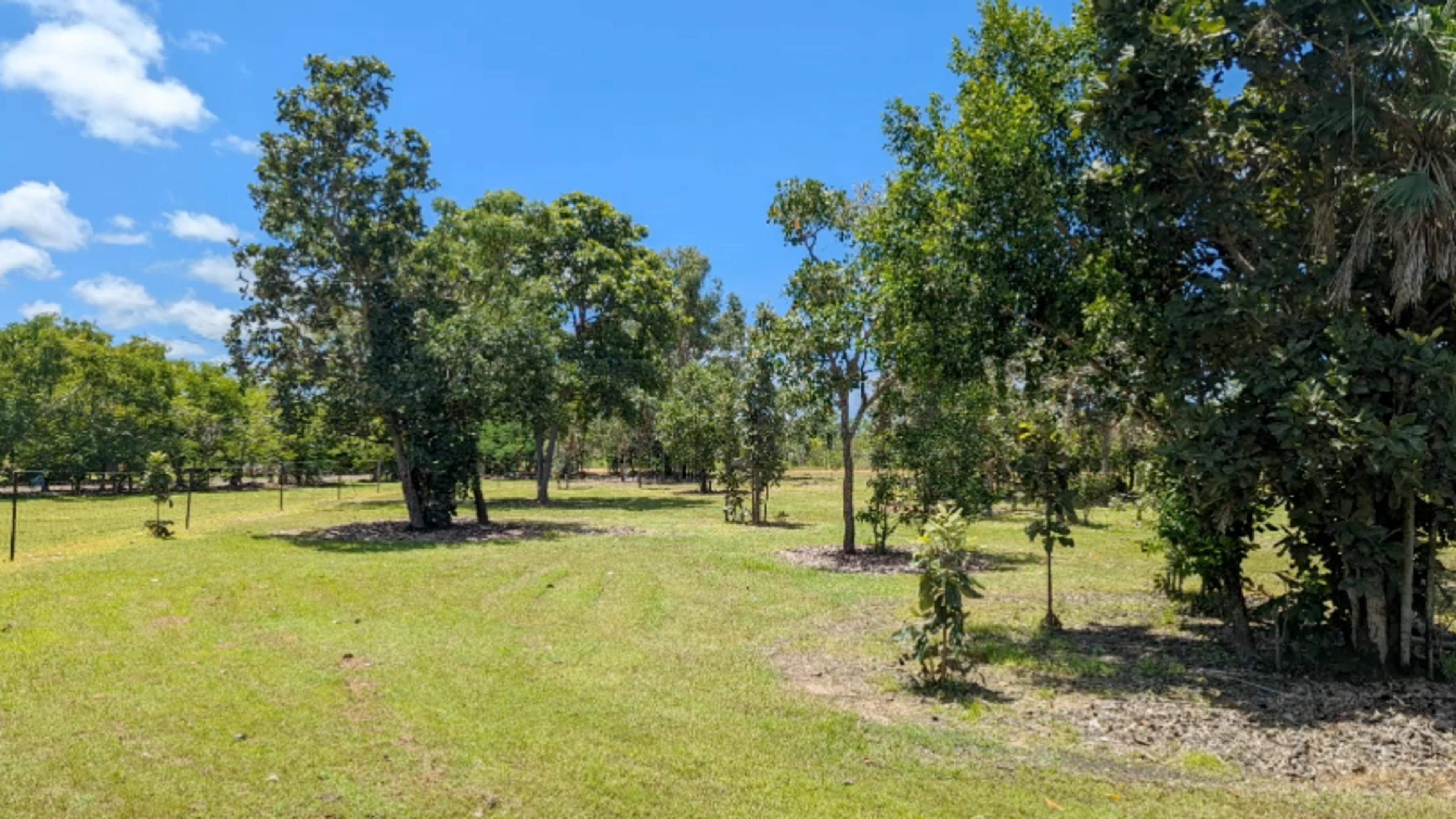 Green Acres