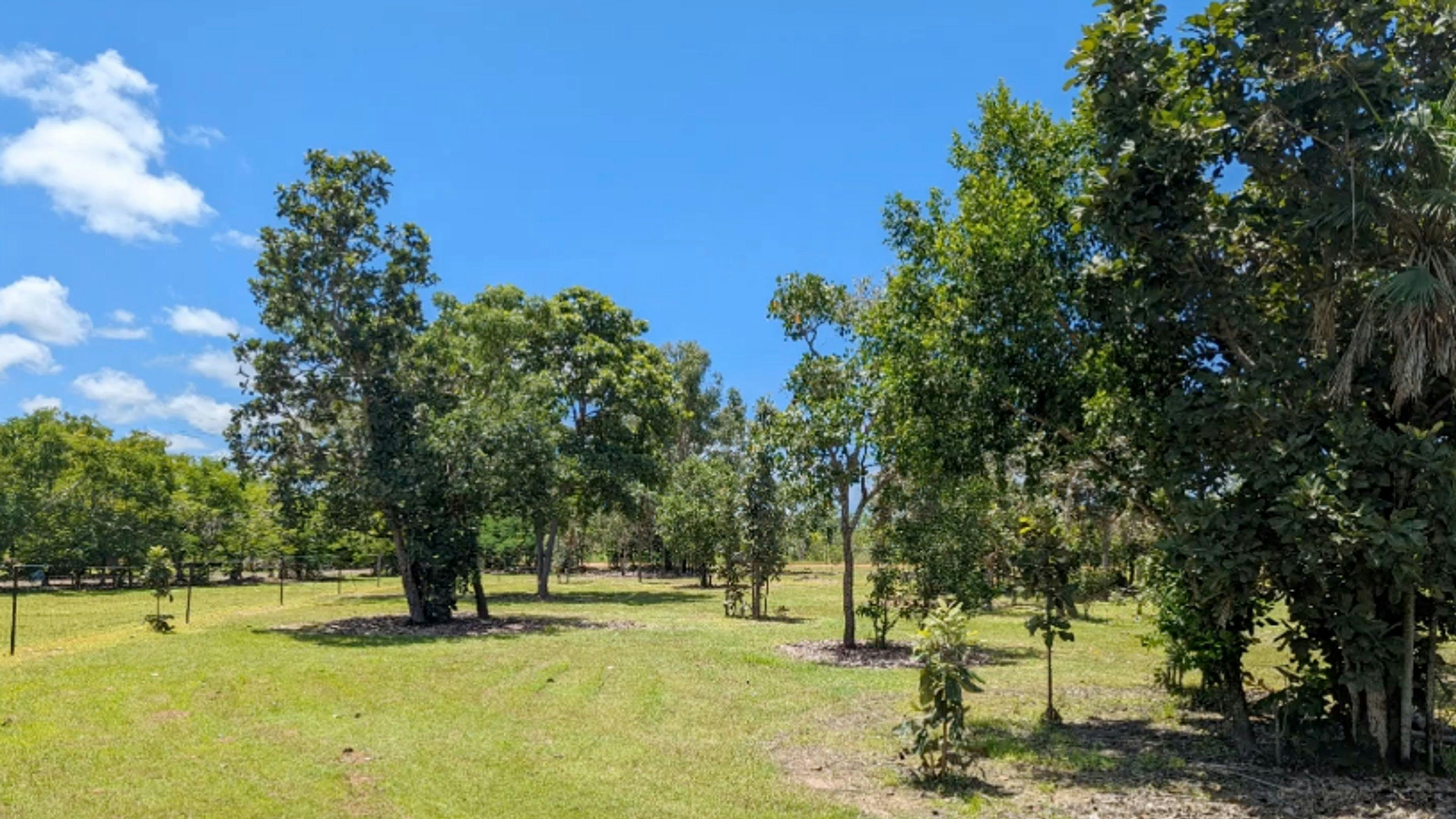 Green Acres