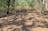 Bonnie Doo bush camp
