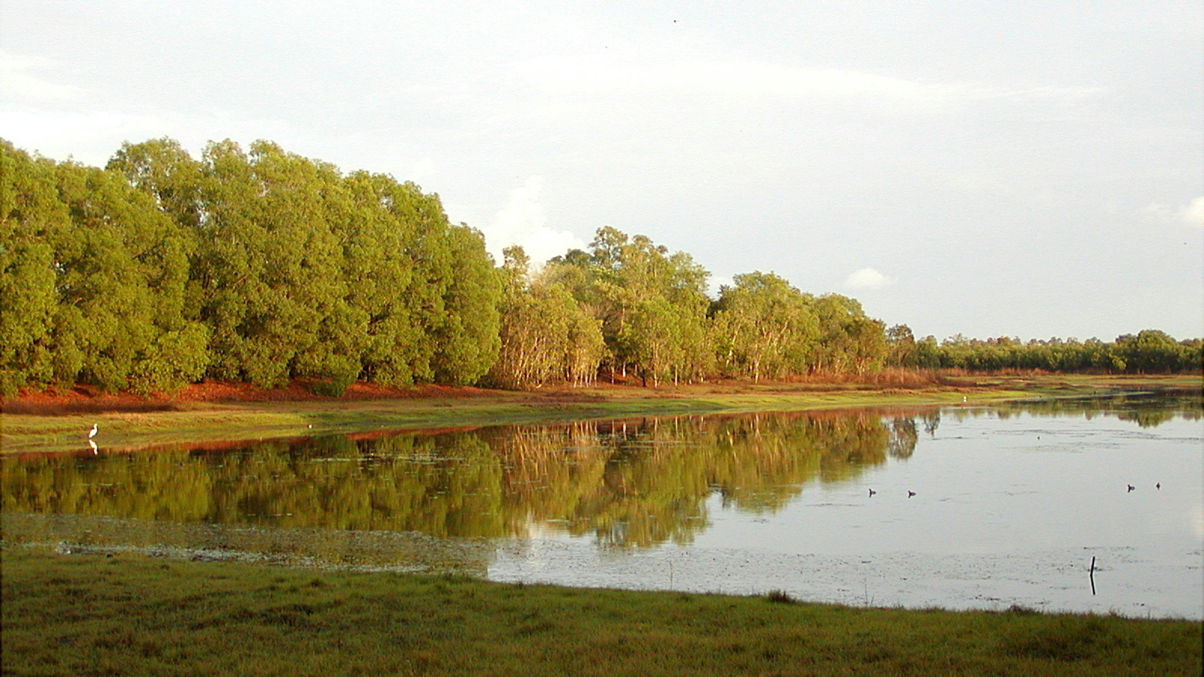 Knuckey Lagoon Bush Camp