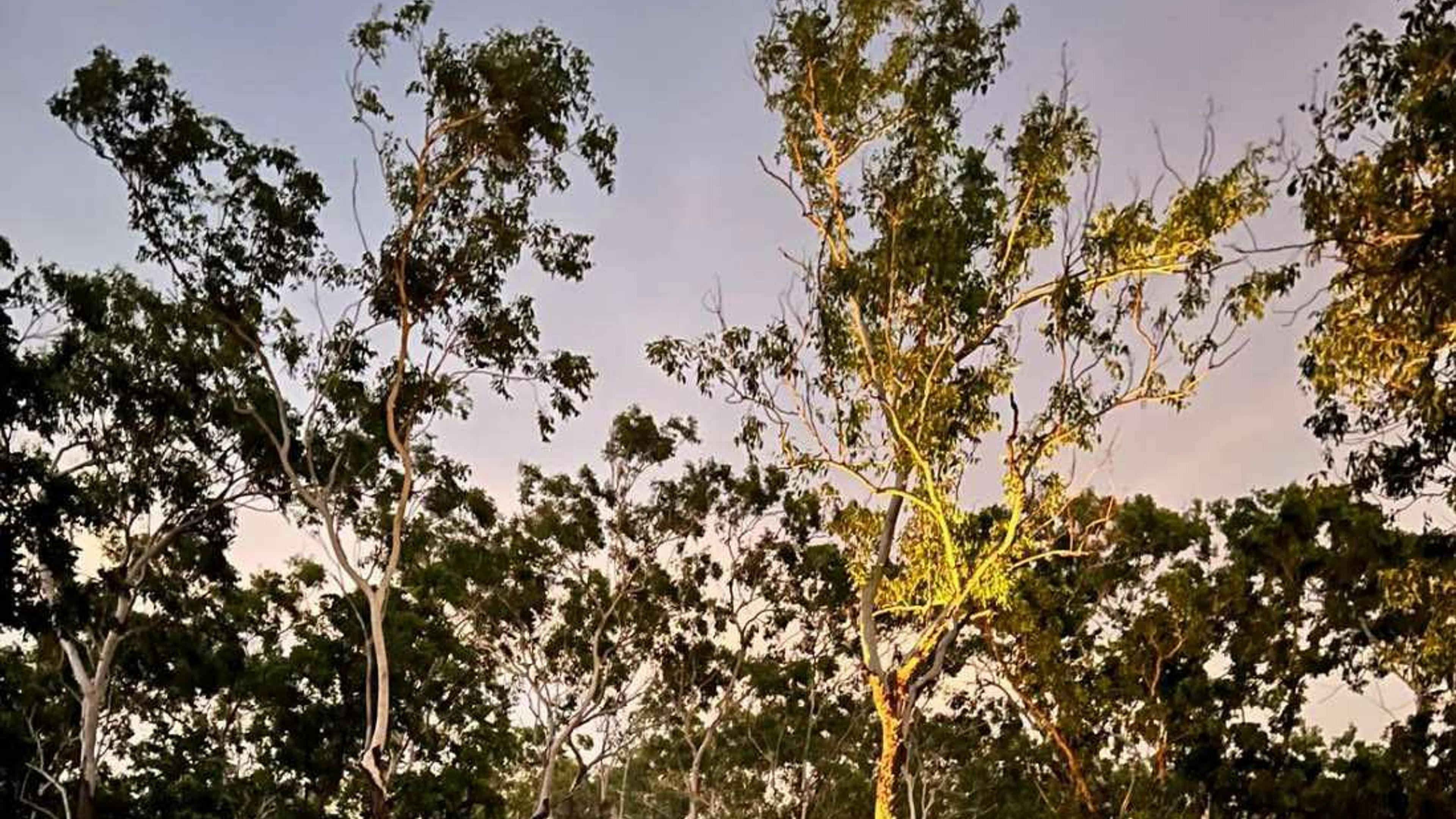 NT - Darwin Base Camp