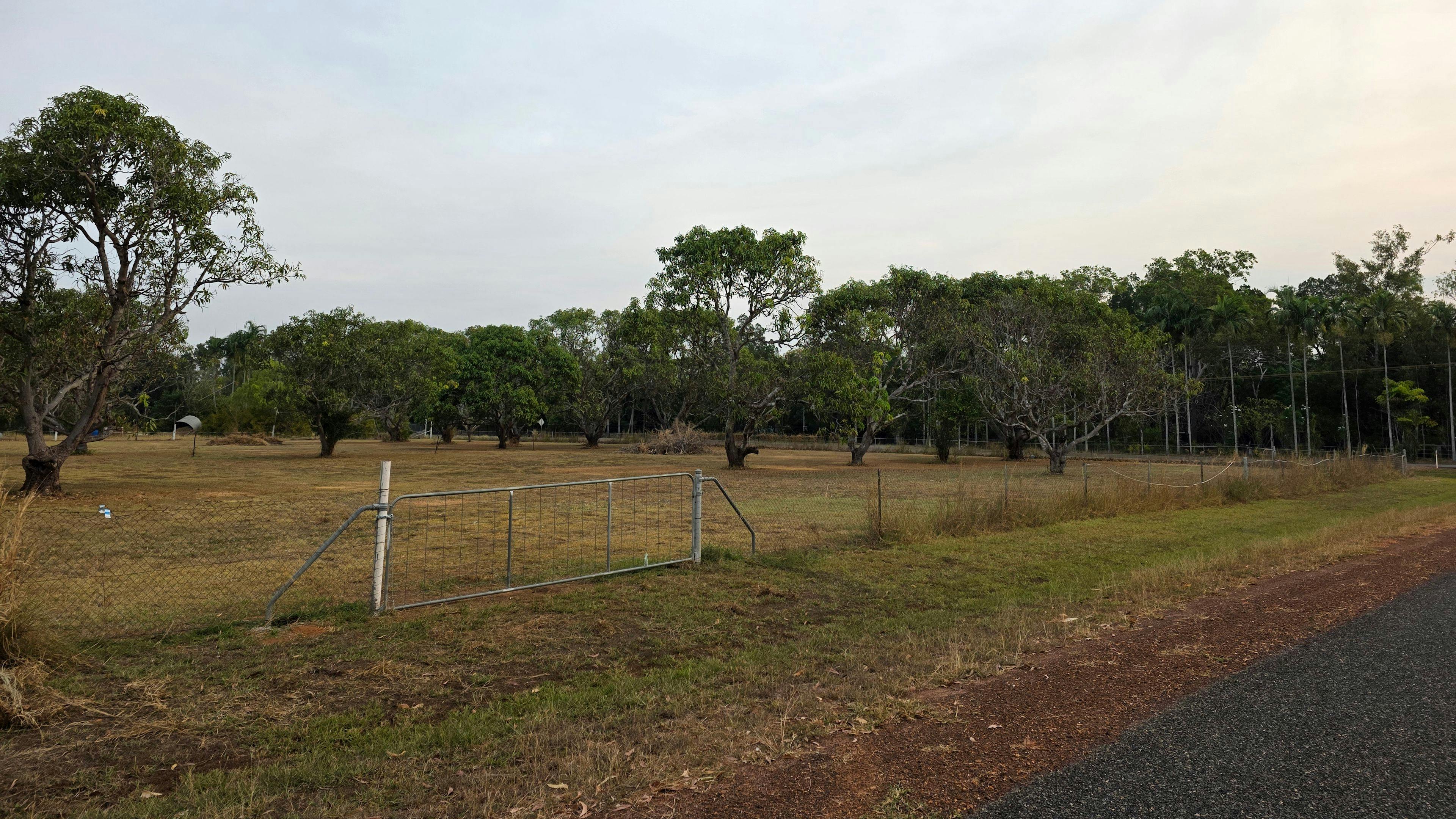 Straddie Doo