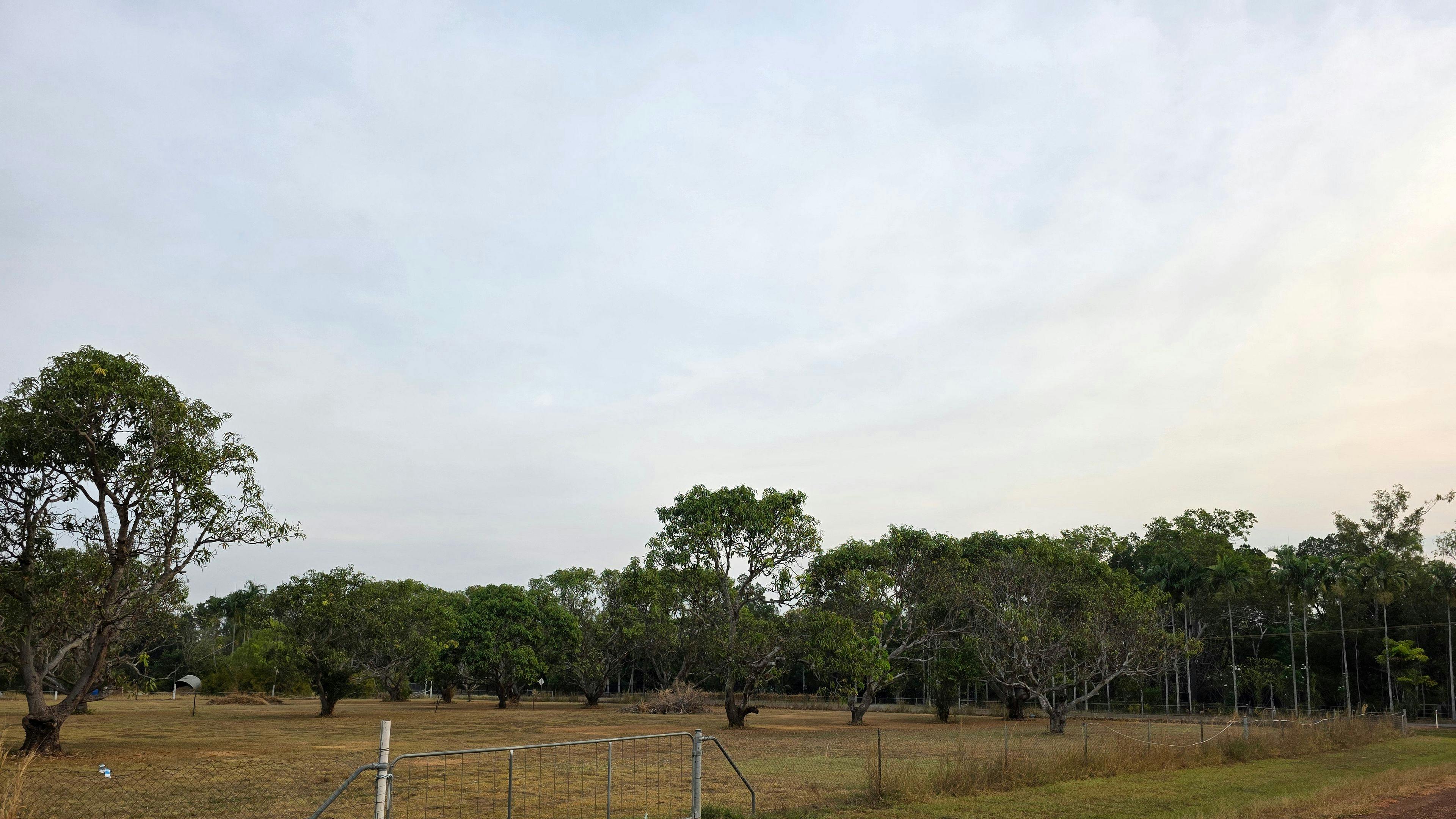 Straddie Doo