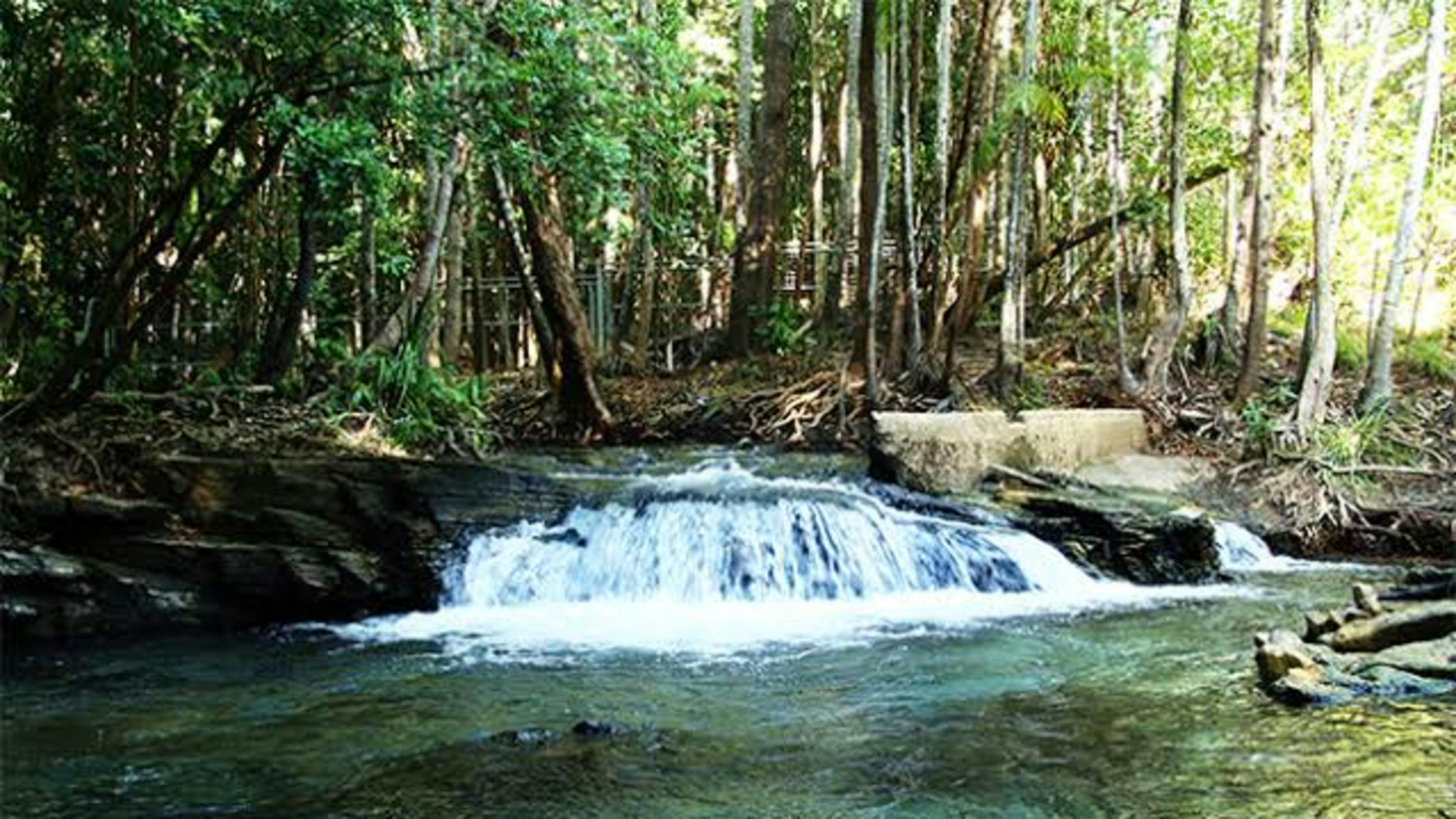 Berry Springs Nature Reserve, great for swimming just 5 mins away 