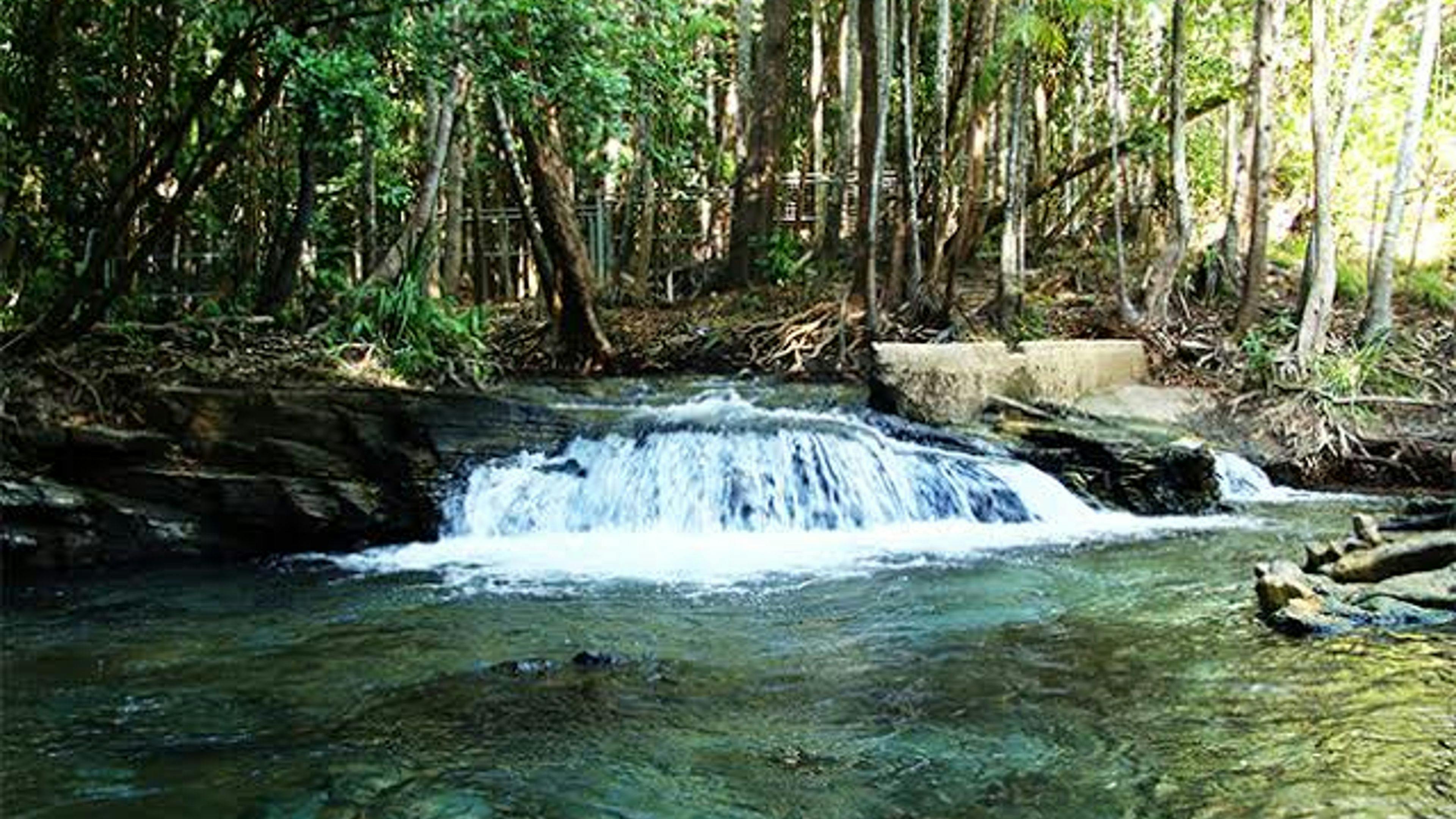 Berry Springs Nature Reserve, great for swimming just 5 mins away 
