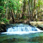 Berry Springs Nature Reserve, great for swimming just 5 mins away