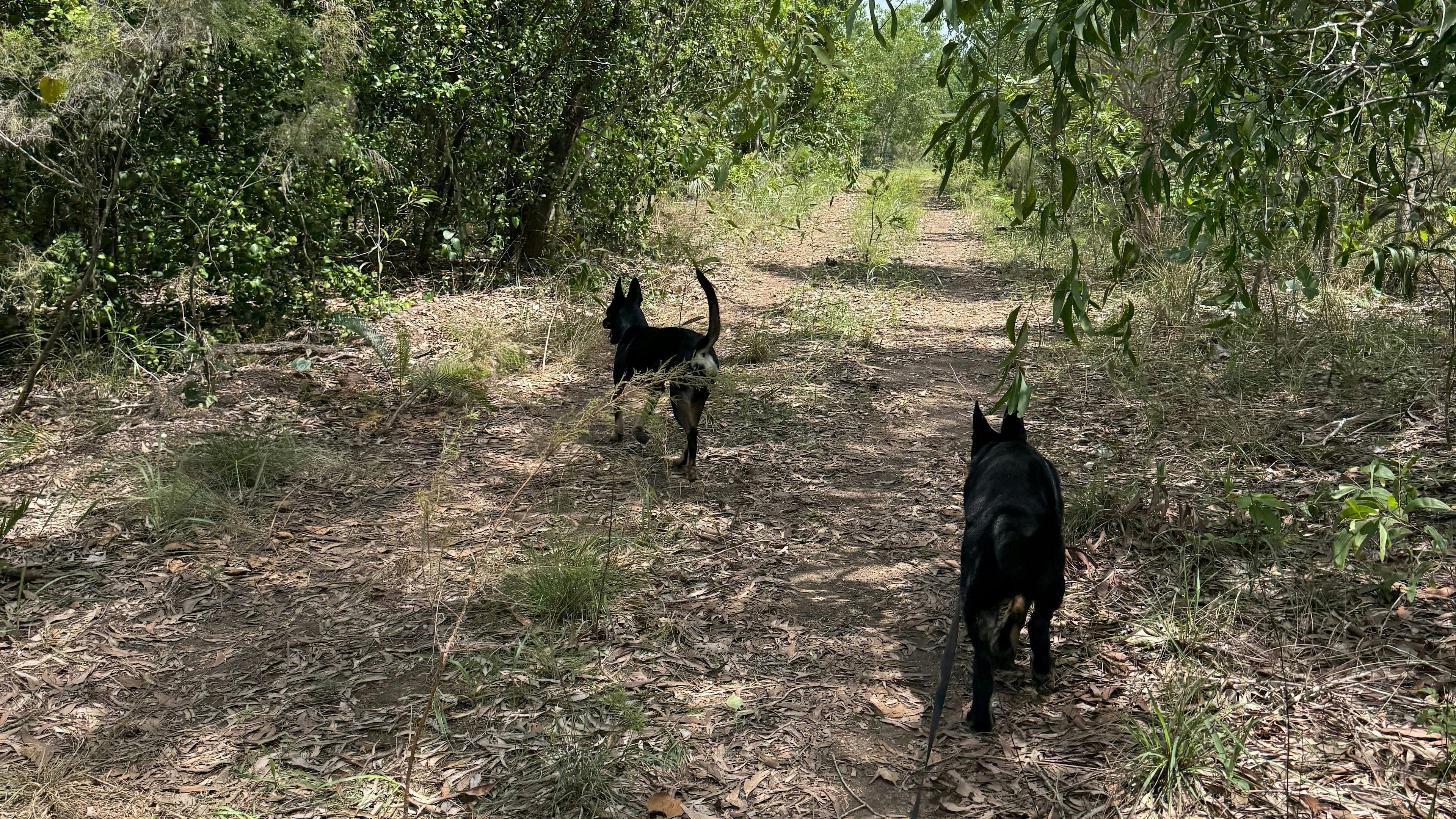 Springs Creek Park