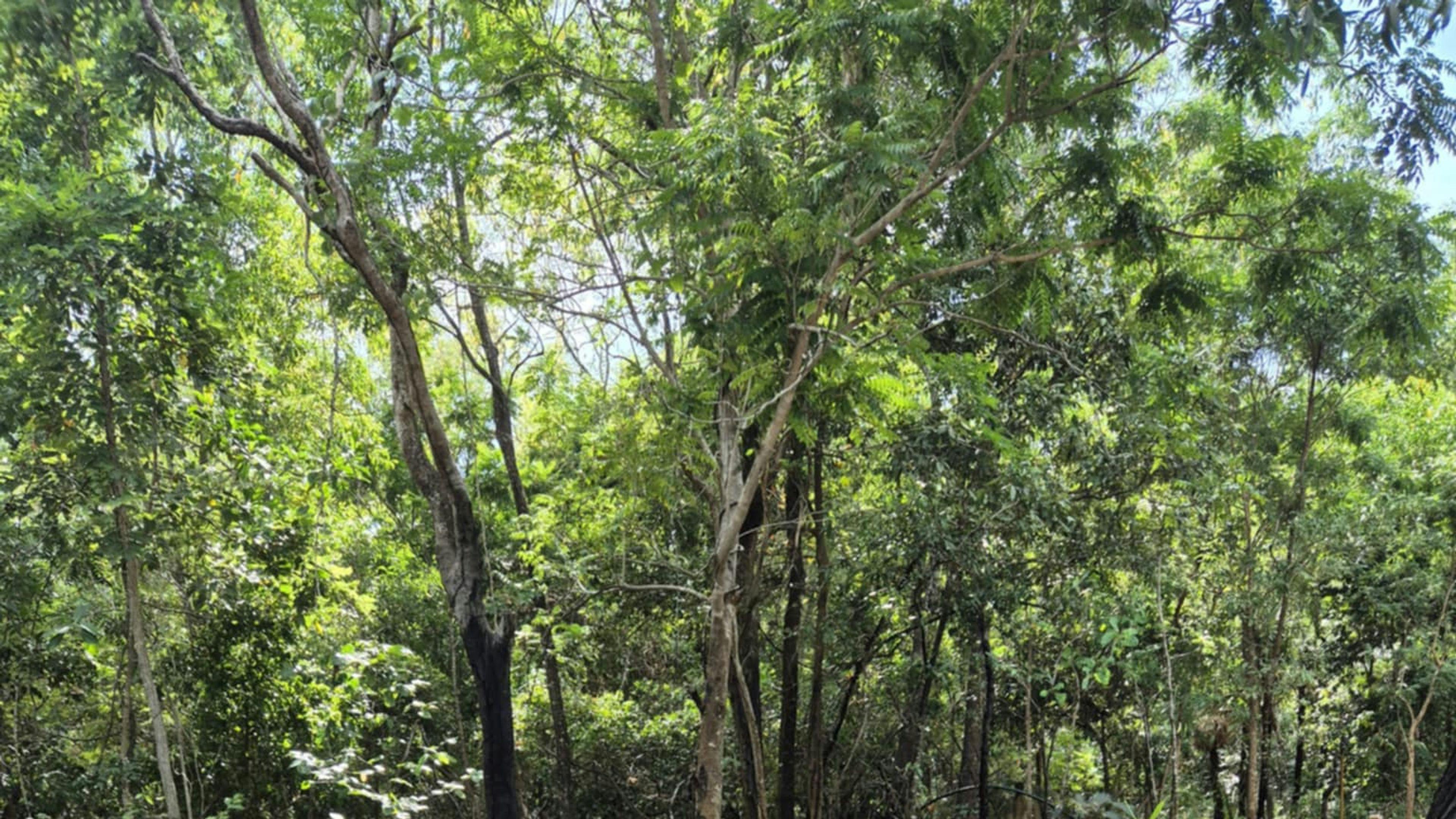 Middle Camp and Stay