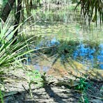 Millbrook Camping