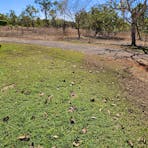 Mo's Bush Camp