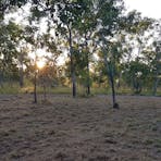 Natural NT Bush Camp