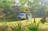 Naturist Marumba Bush Camp