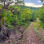 Naturist Marumba Bush Camp