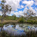 Naturist Marumba Bush Camp