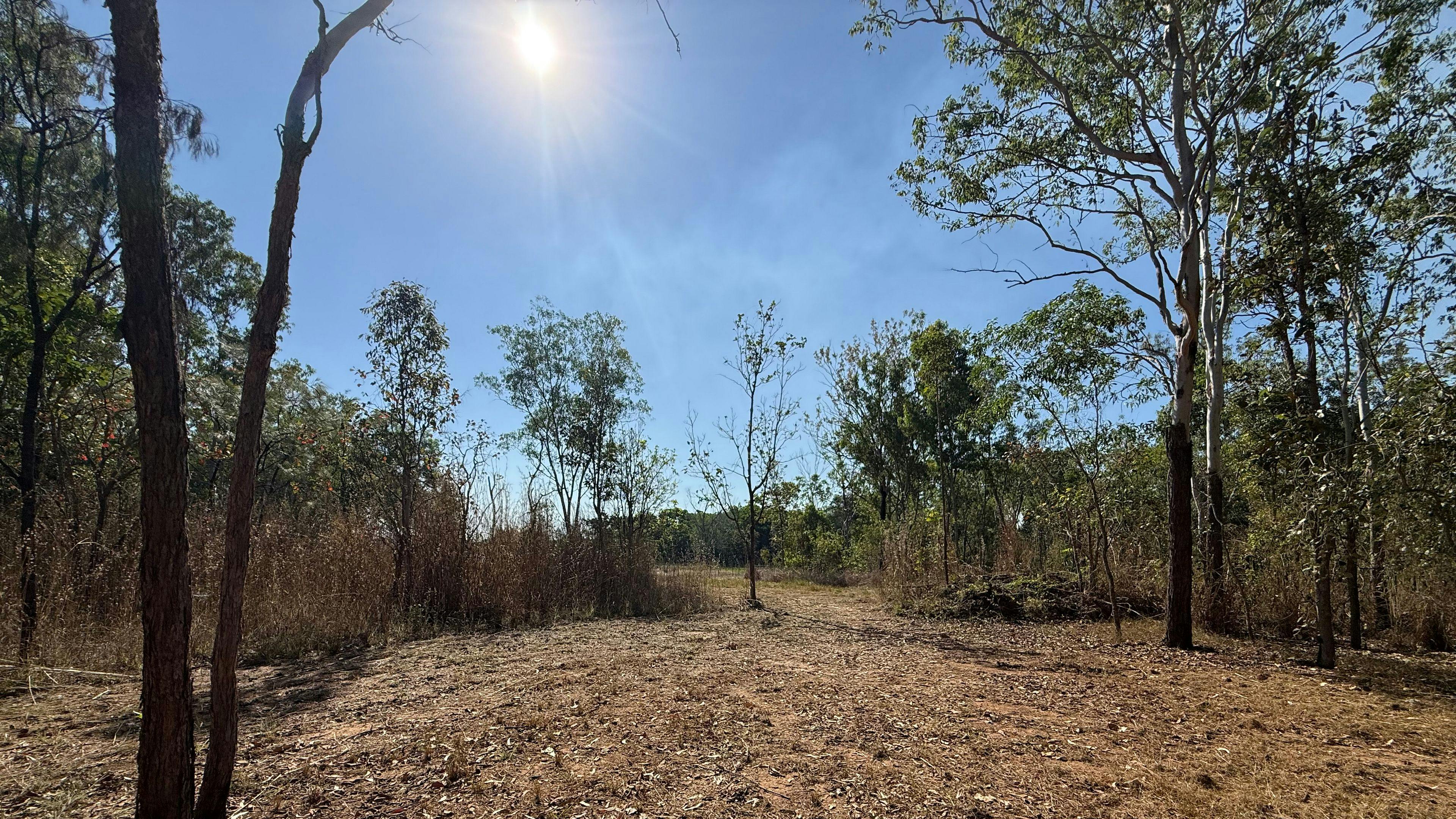 Bonnie Doo bush camp